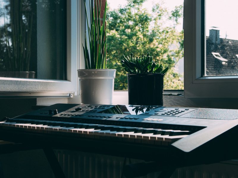 What can you grow on a windowsill?