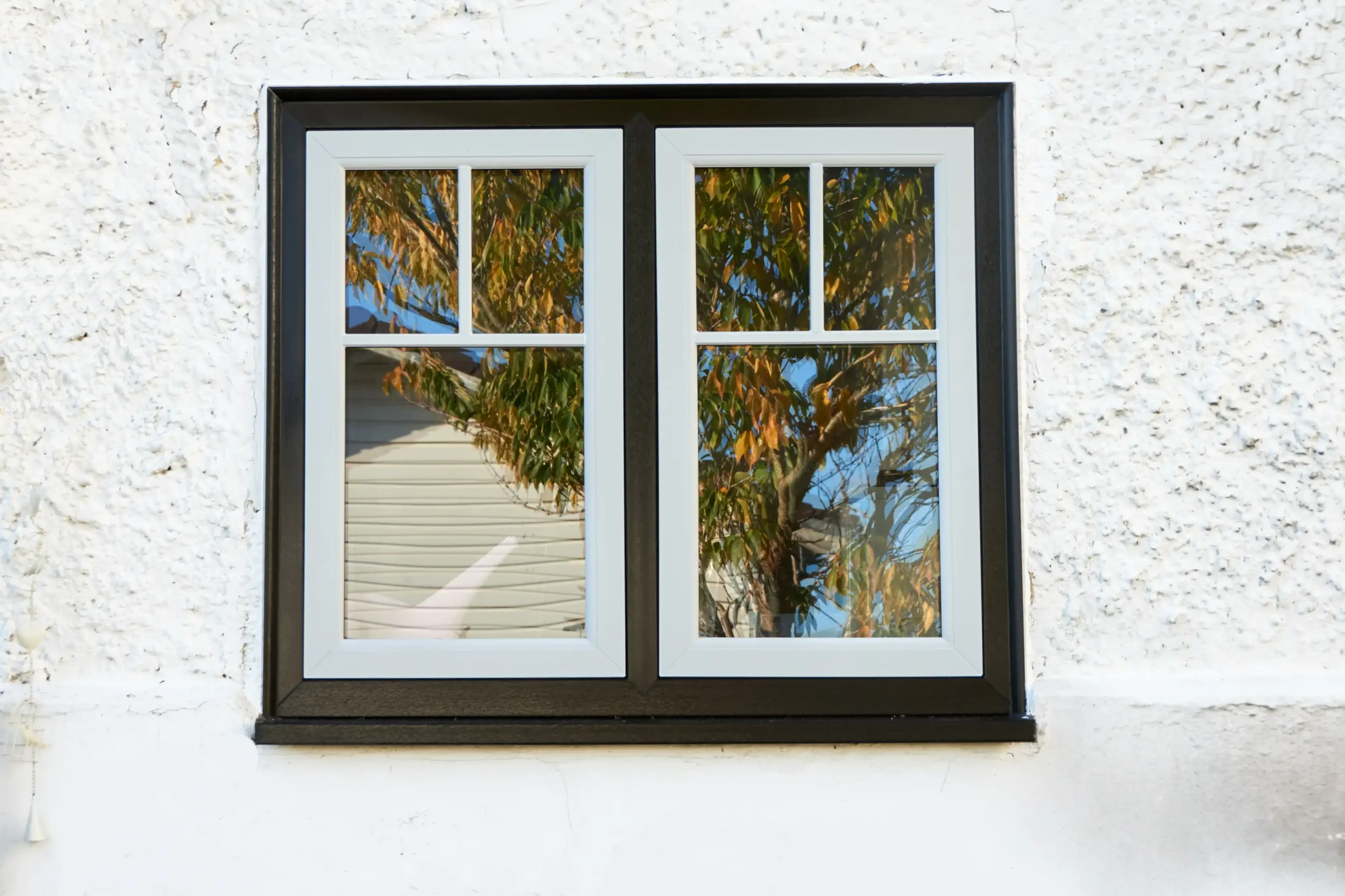 Triple Glazing Sherborne